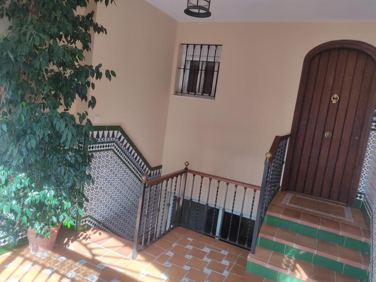 Montequinto 50m En Semisótano Apartamento